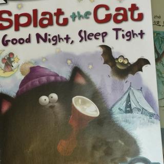 Splat the Cat Good Night,Sleep Tight based on the creation of Rob Scotton