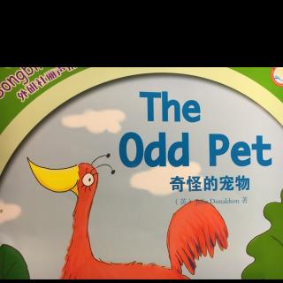 丽声拼读故事会:the odd pet