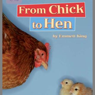 哈考特:from chick to hen