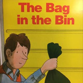 ort1 dd1-15 the bag in the bin