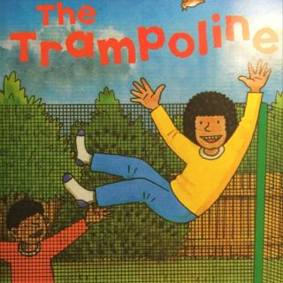 ort1 dd1-10 the trampoline