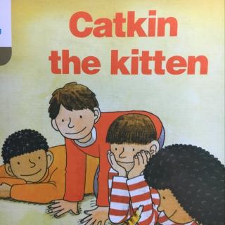 ort1 dd1-8 catkin the kitten