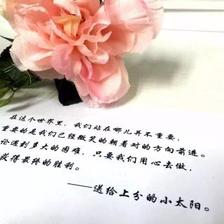 无言是最好的安慰，傻瓜都逃不过伤悲！