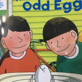 the odd egg