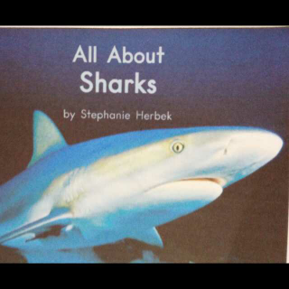 Allabout sharks