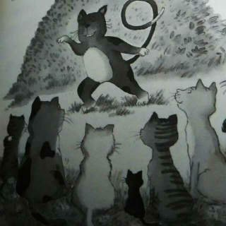 笑猫日记系列《塔顶上的猫3》刘金灿