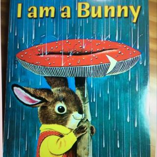 I am a bunny