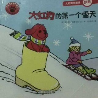 大红狗的第一个雪天