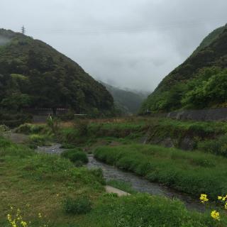 京都鵜ノ川