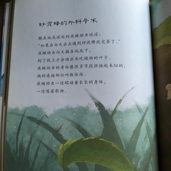 昆虫记干泥蜂图片图片