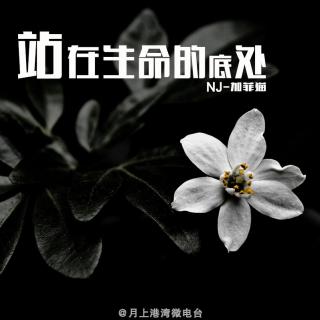 【喃喃猫语】站在生命的底处-NJ加菲猫