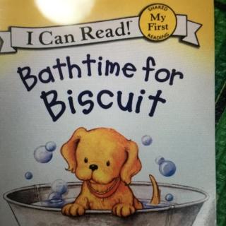 Bathtime for Biscuit