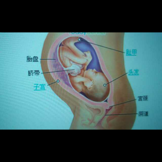 第八个月宝宝的器官发月，月嫂早知道