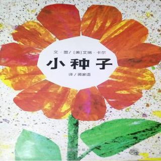 宝儿讲故事《小种子》