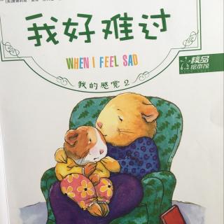 儿童绘本44: 我的感觉3-我好难过