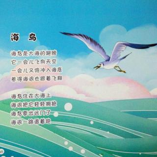 4【诗】海鸟