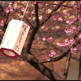 【木子】枕草子。三月三日、贺茂祭的时候