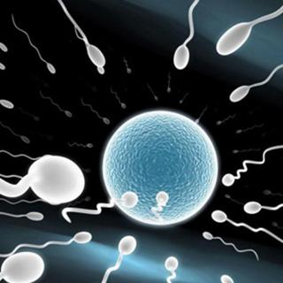 世界真奇妙：胎儿性别或由百万年前古老病毒决定