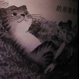 笑猫日记系列《塔顶上的猫6》刘金灿