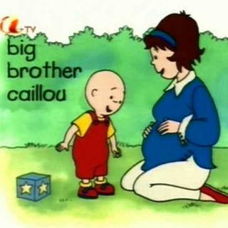 4_01_Big Brother Caillou 20160512