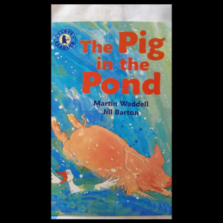 The pig in the pond