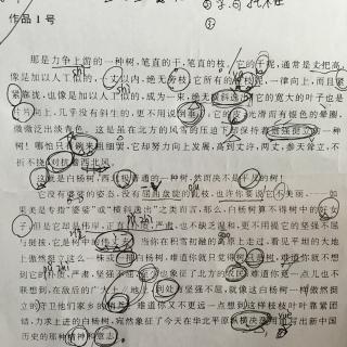 白杨礼赞 散文