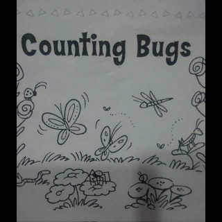 counting bugs