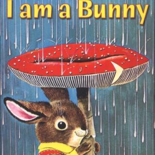 20160511 朗读 I am a Bunny