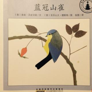小小自然图书馆系列-蓝冠山雀