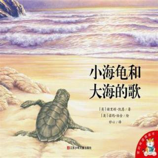小海龟和大海的歌 | By：潮爸洪俊