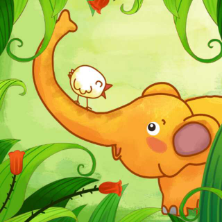 树树猫胎教伴读故事4《大象的长鼻子》