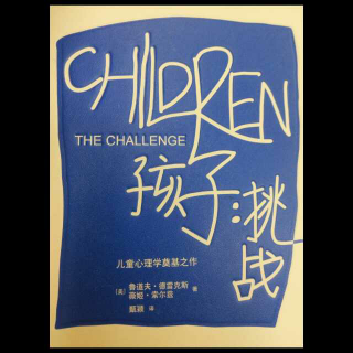 《THE CHALLENGE》孩子：挑战—如何成为孩子的合作者