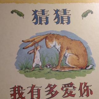 绘本故事：猜猜我有多爱你