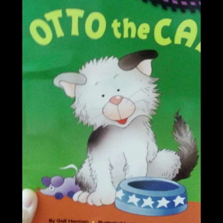 Otto the Cat  小猫Otto