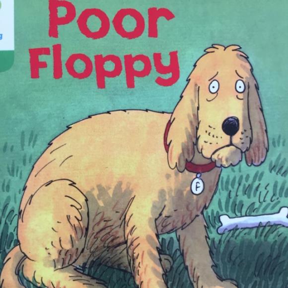 poor floppy