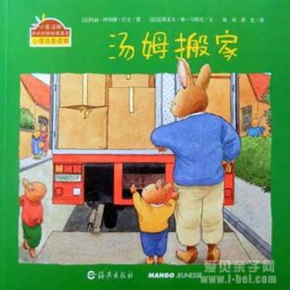 289.汤姆搬家🐰🏡🚚🏠小兔汤姆系列