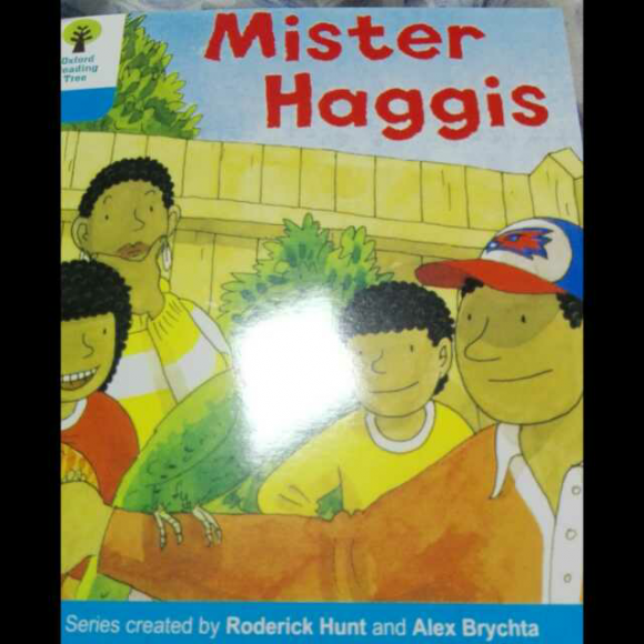 牛津dd3-9mister haggis