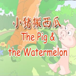 The Pig and the Watermelon
