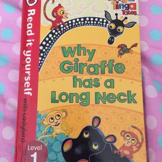 why giraffe has a long neck球妈