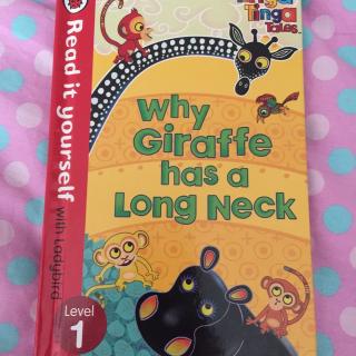 why giraffe has a long neck