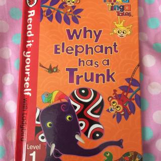 why elephant has a trunk球妈