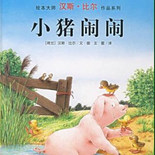 小猪闹闹