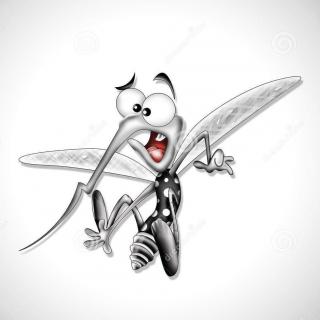 【Wonder Life】蚊子最爱O型血？你错啦！