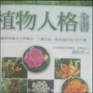 💗 植物人格全书 💗  CT12秘书型人格分述