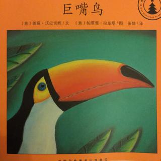 181.小小自然图书馆之《巨嘴鸟》