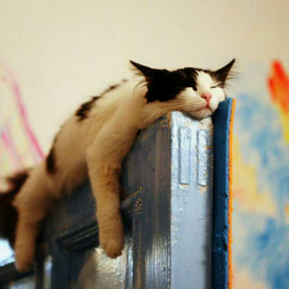 过一次散漫的生活,何尝不可?