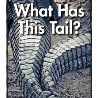 [练练嘴]What Has This Tail?
