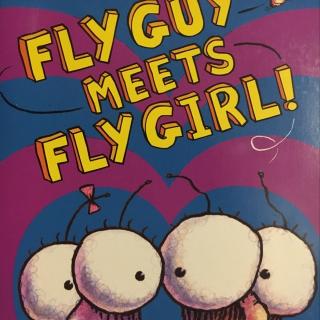 fly guy meets fly girls