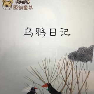 乌鸦🐦日记