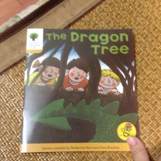 5.3 The dragon tree